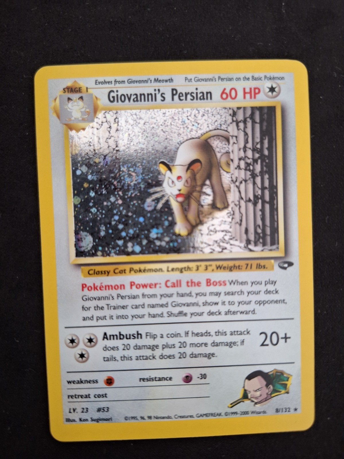 Giovanni's persian - gym challenge - swirl, Ophalen of Verzenden, Zo goed als nieuw