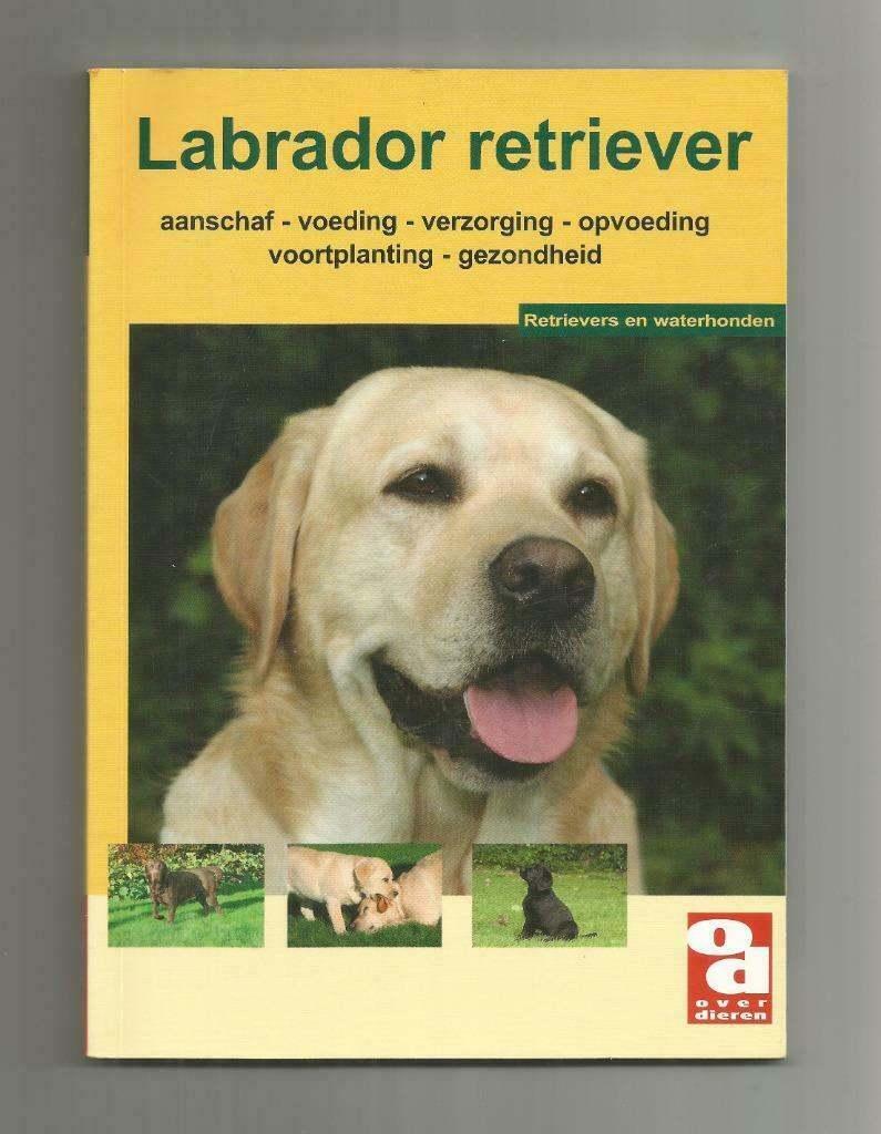 Labrador Retriever en waterhonden, Ophalen of Verzenden, Zo goed als nieuw, Honden