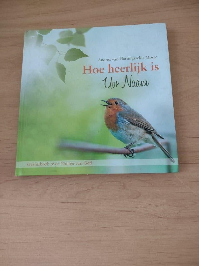 Hoe heerlijk is Uw Naam- Andrea van Hartingsveldt-Moree, Boeken, Ophalen of Verzenden, Gelezen, Christendom | Protestants