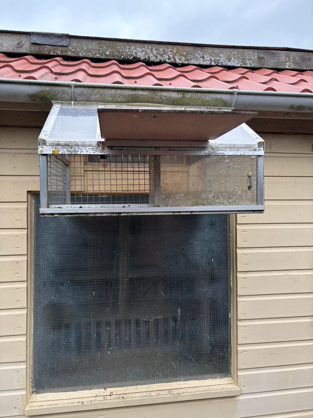 Te koop spoetnik, Dieren en Toebehoren, Meerdere dieren, Overige soorten