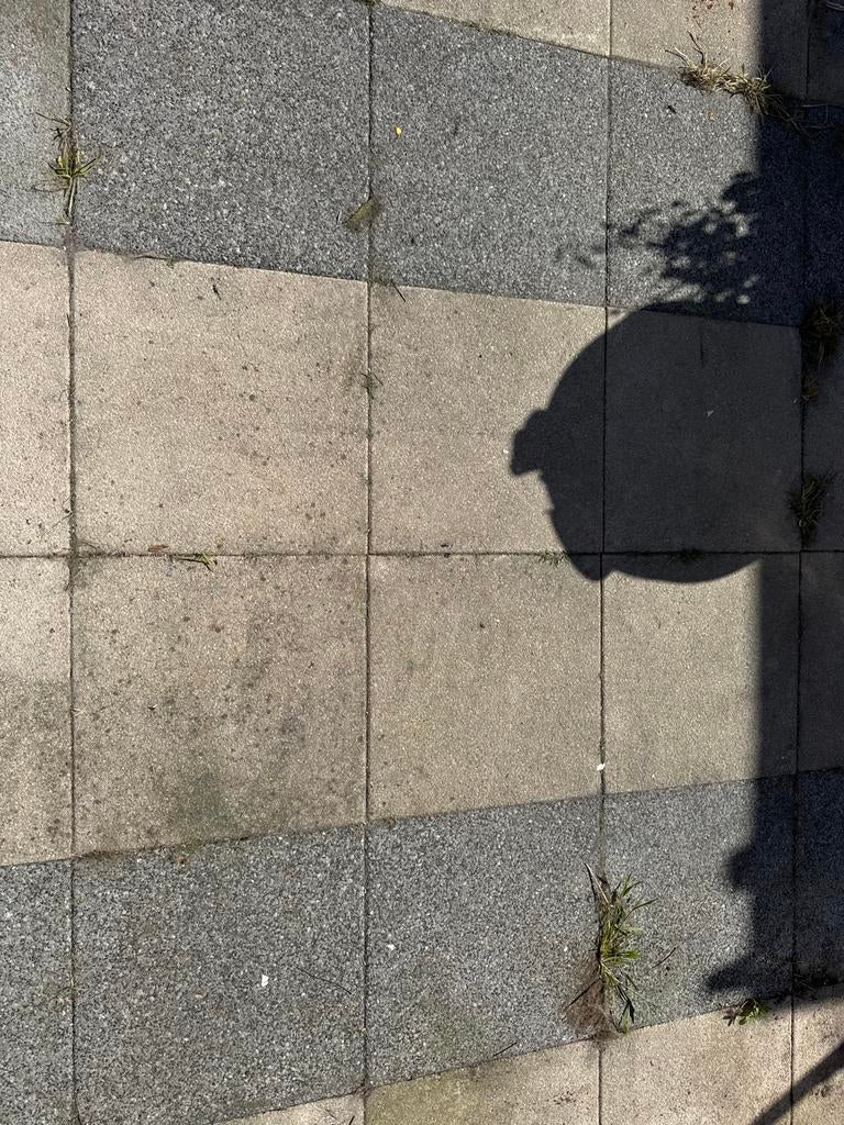 Gratis af te halen: 245 tegels 40x40, Tuin en Terras, Ophalen, Gebruikt, 10 m² of meer, Beton