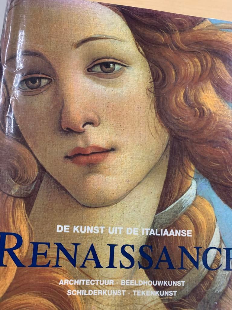 De Kunst uit de Italiaanse Renaissance, Ophalen of Verzenden, Zo goed als nieuw, Schilder- en Tekenkunst