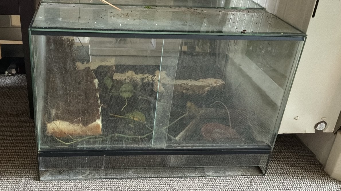 Terrarium 60x40x40, 0 tot 2 jaar