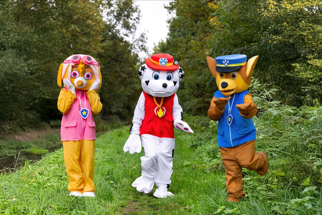 Mascotte huren voor feest, evenement of opening, Ophalen of Verzenden, Zo goed als nieuw, Verjaardag