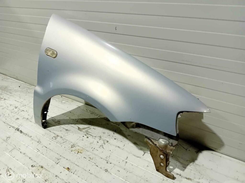 Spatscherm Volkswagen Polo, Ophalen of Verzenden, Gebruikt