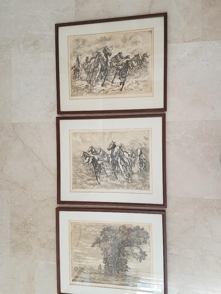 3 fraaie etsen van paarden ingelijst in houten lijsten., Antiek en Kunst, Kunst | Etsen en Gravures, Ophalen of Verzenden