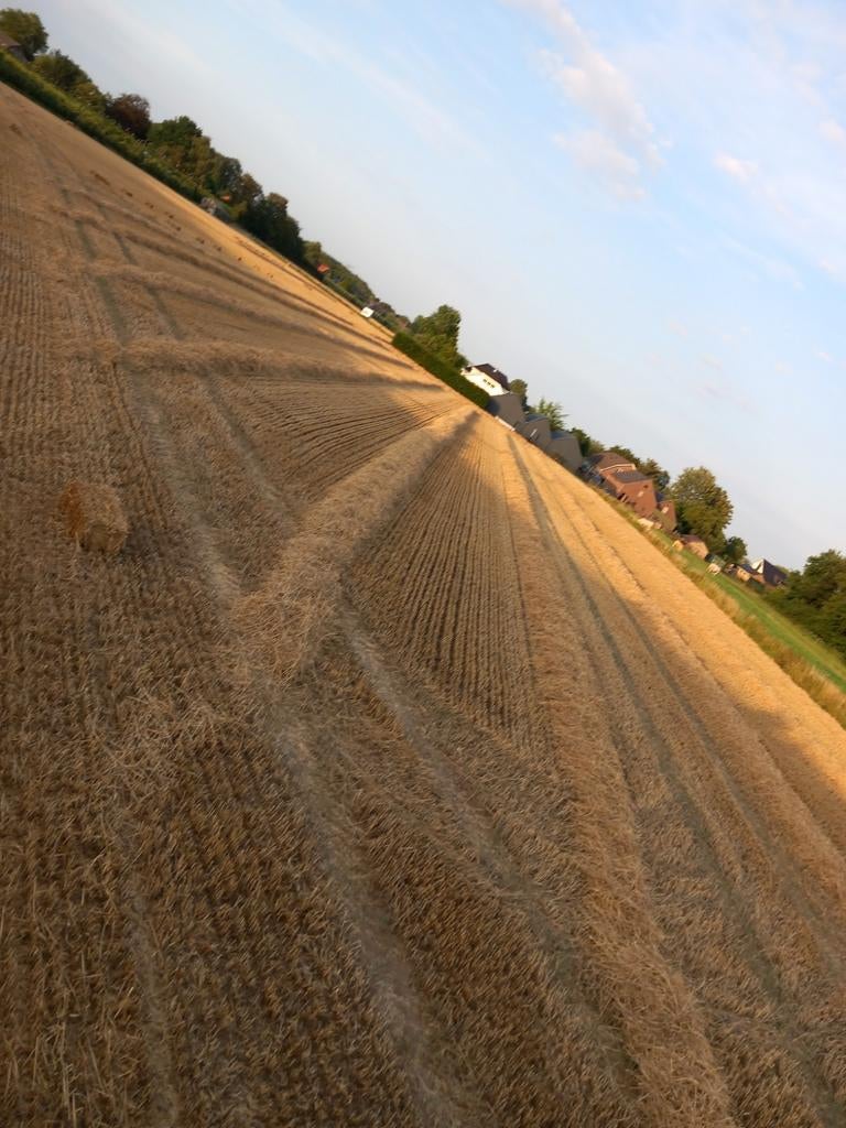 Stro, Dieren en Toebehoren, Stalling en Weidegang