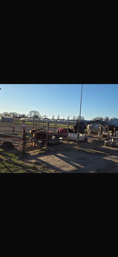 Pony les of paard bij ons kan dat ook beginners, Eén persoon