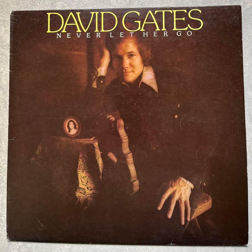David Gates - Never Let Her Go (Vinyl/LP pop), Cd's en Dvd's, Vinyl | Pop, Gebruikt, 12 inch, Ophalen of Verzenden