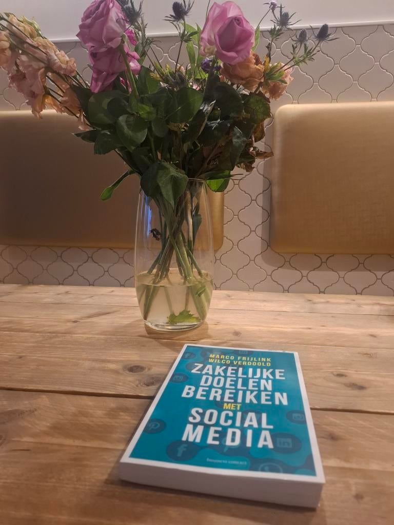 Zakelijke Doelen Bereiken met Social Media, Ophalen of Verzenden, Zo goed als nieuw, Economie en Marketing, Marco Frijlink & Wilco Verdool