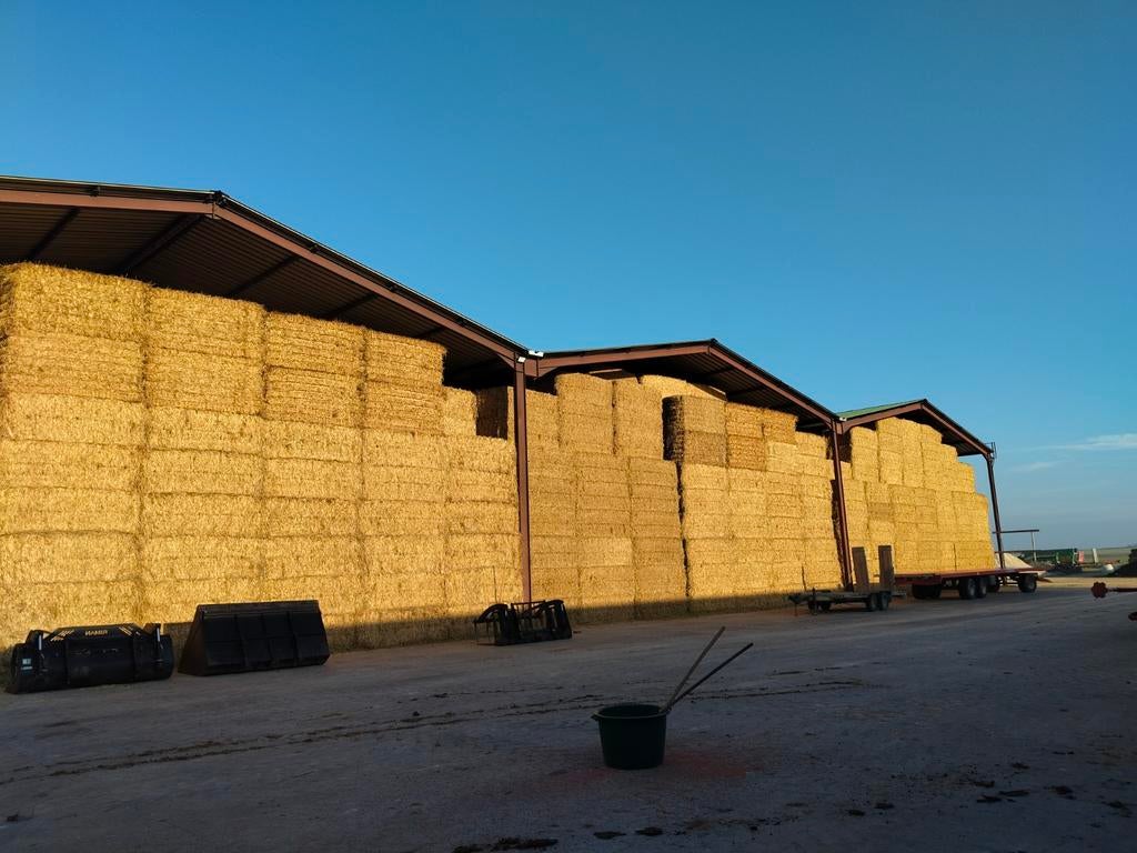 Te koop: Frans hooi & stro, rechtstreeks leverbaar, Ophalen of Verzenden