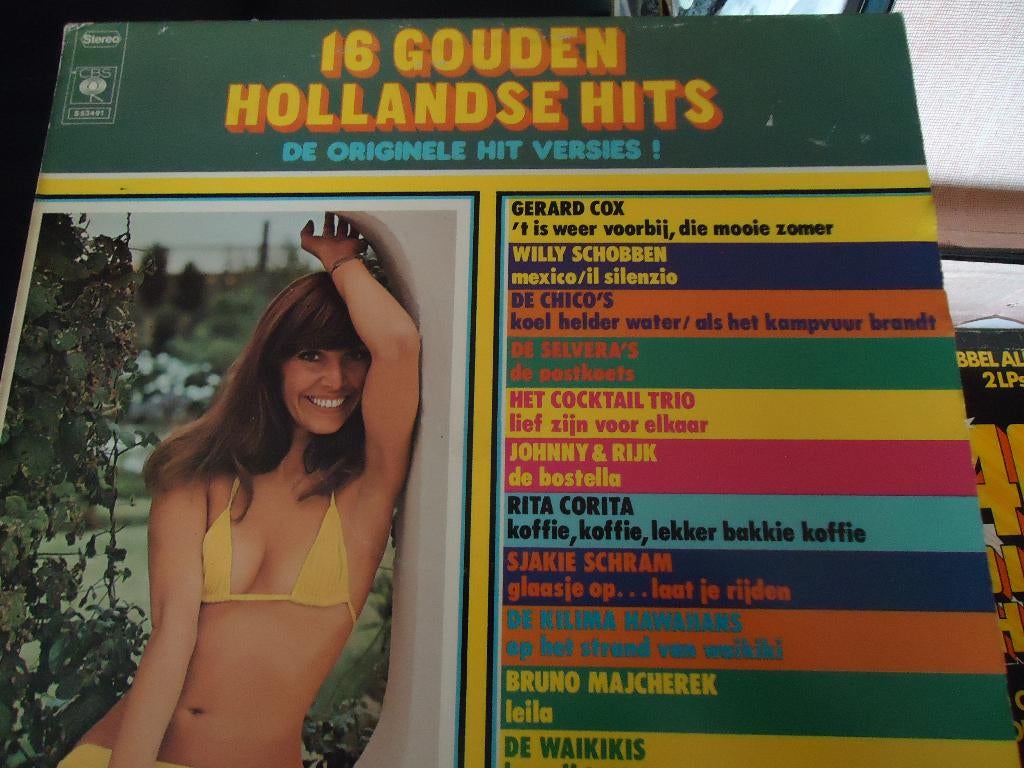 16 gouden hollandse hits, Ophalen of Verzenden, Gebruikt, 12 inch, Levenslied of Smartlap