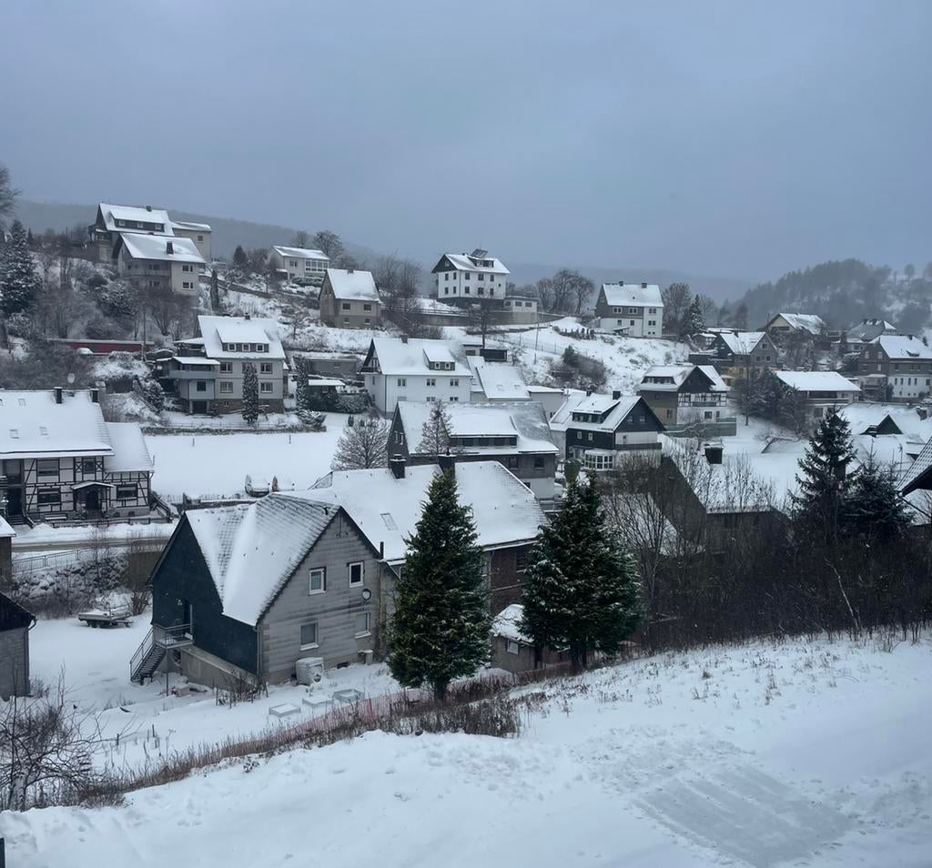 Luxe vakantievilla Sauerland Willingen 6-10 pers. 🇩🇪, Vakantie, 4 of meer slaapkamers, Dorp, Zwembad, Aan meer of rivier