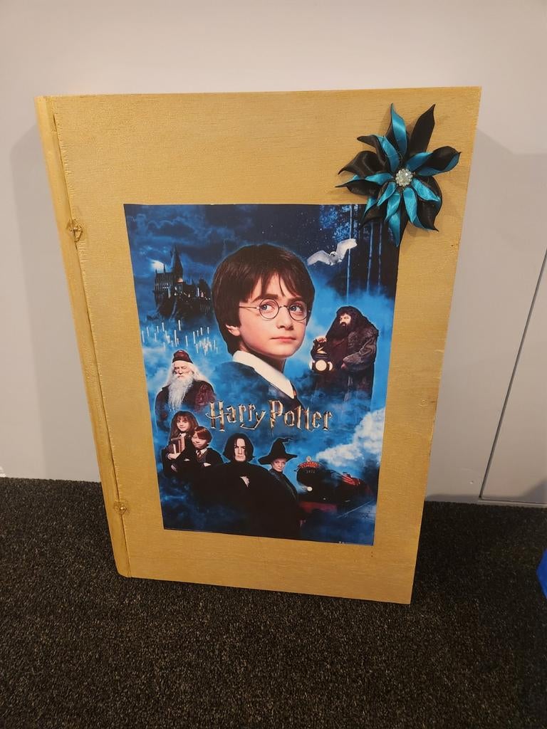 Harry Potter Boek Verzameling Box. Sinterklaas surprise, Ophalen of Verzenden, Zo goed als nieuw, Gebruiksvoorwerp