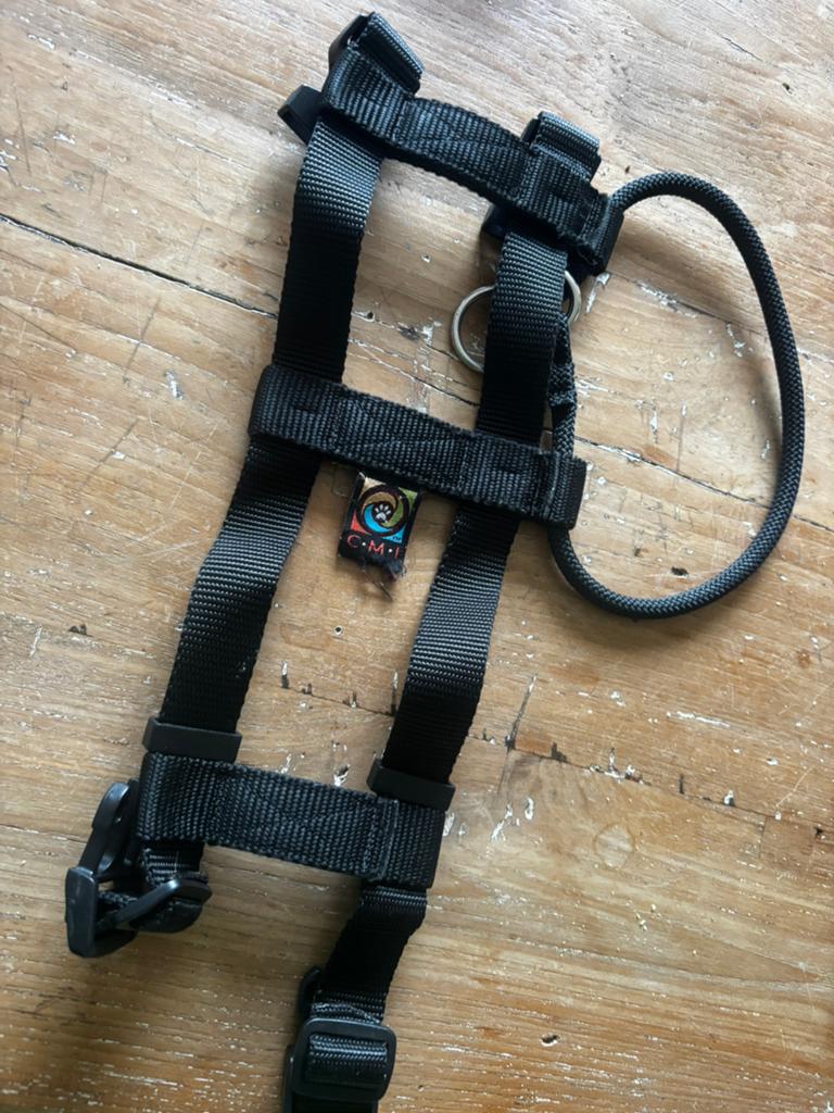 Cesar Millan Leader Collar halsband hond  Hondenhalsbanden en Penningen   Marktplaats