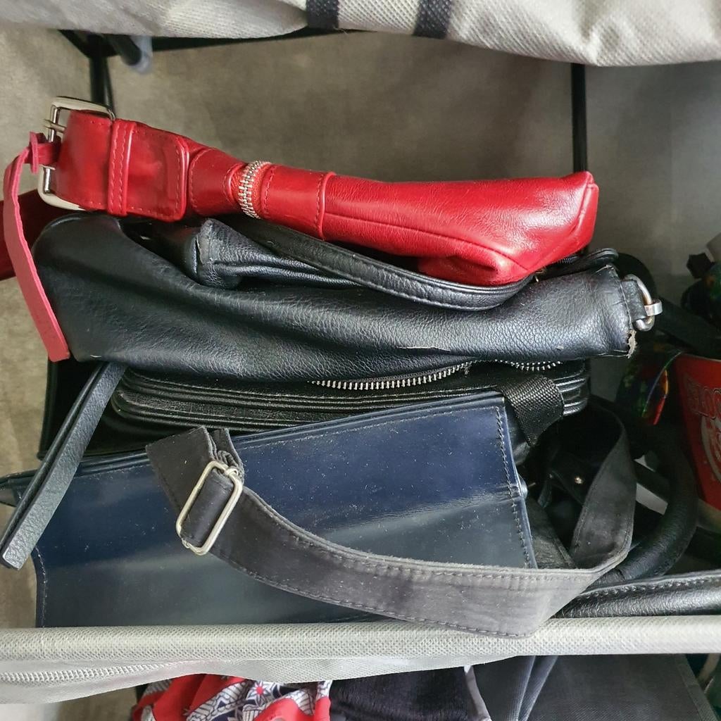 Heel veel verschillende tassen damestassen schooltassen etc, Ophalen, Overige kleuren