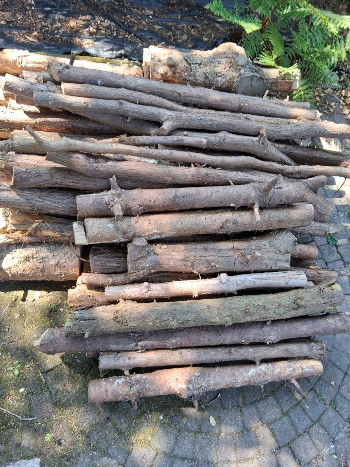 Coniferenhout (droog), Tuin en Terras, Haardhout, Minder dan 3 m³, Ophalen, Overige houtsoorten