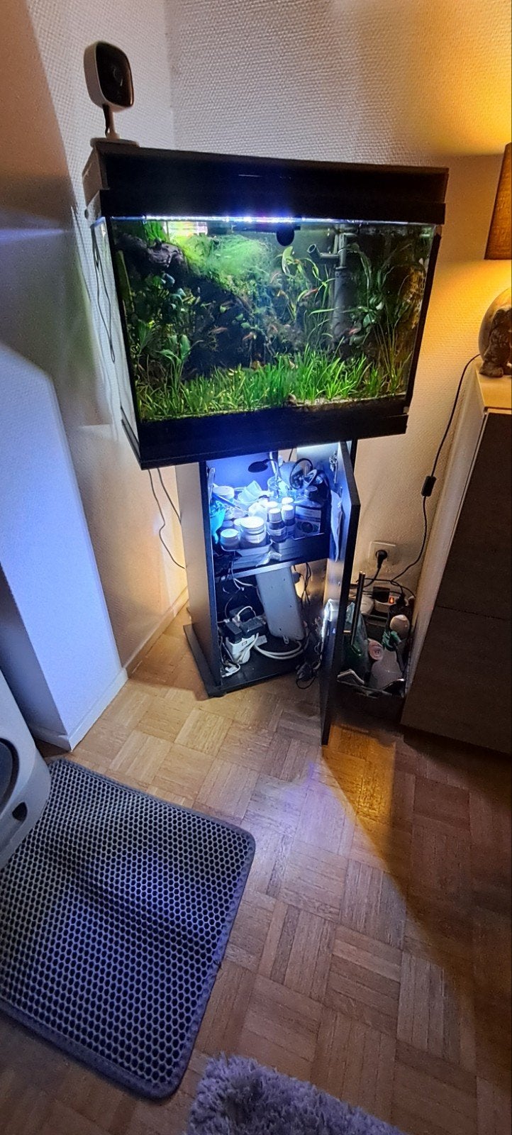 Juwel 60 aquarium + zwart meubel – volledig ingericht en com, Dieren en Toebehoren, Ophalen, Pomp, Juwel, Gevuld zoetwateraquarium