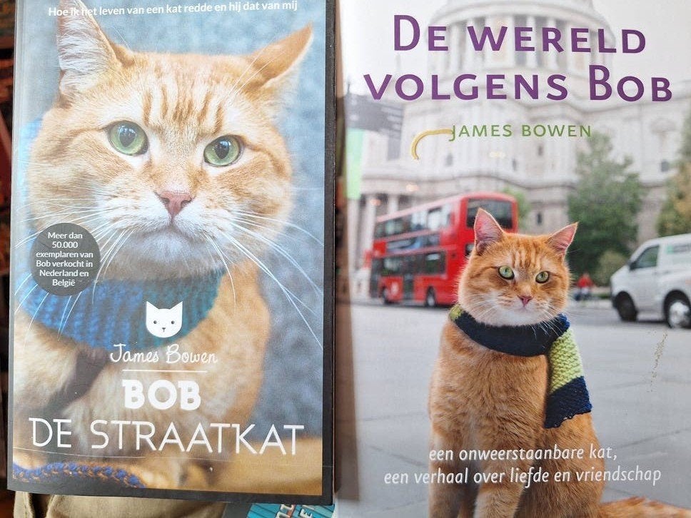James Bowen - Bob de Straatkat
NIEUW!, Ophalen of Verzenden, Nieuw