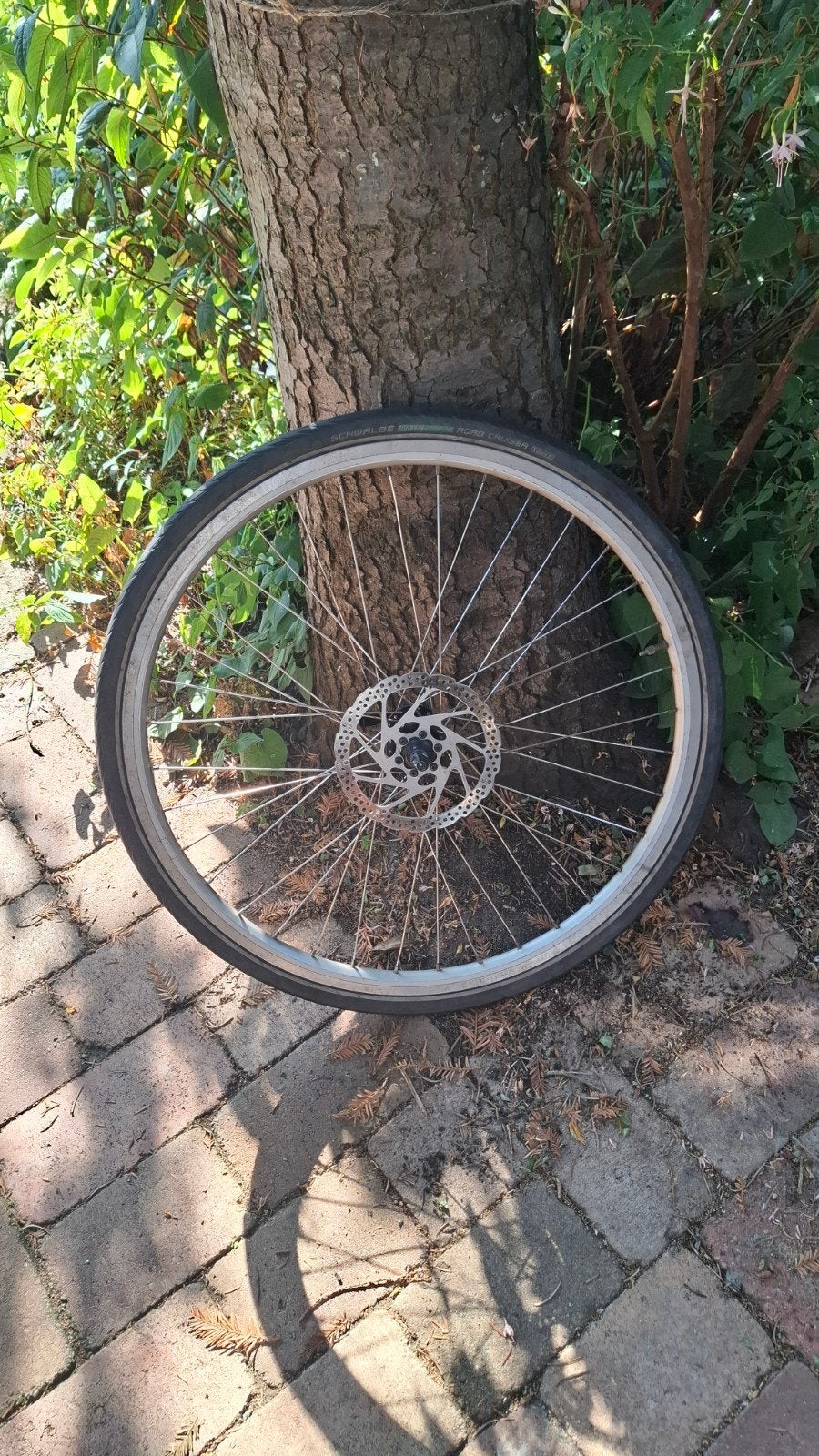 achterwiel 28 inch, Ophalen of Verzenden, Gebruikt