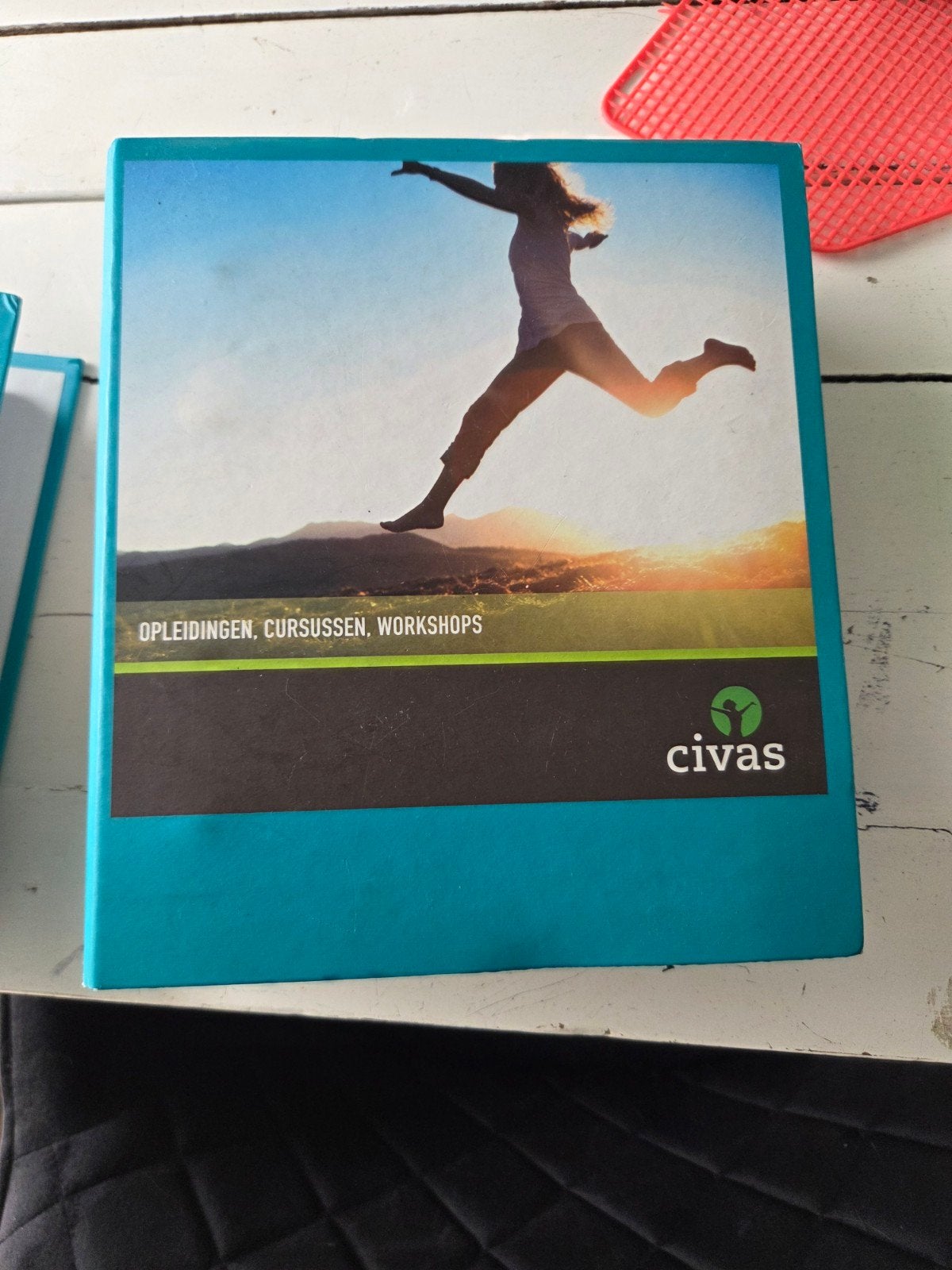 Civas Chakra en Aurahealing cursusmap, Boeken, Ophalen, Civas, Zo goed als nieuw, Gamma