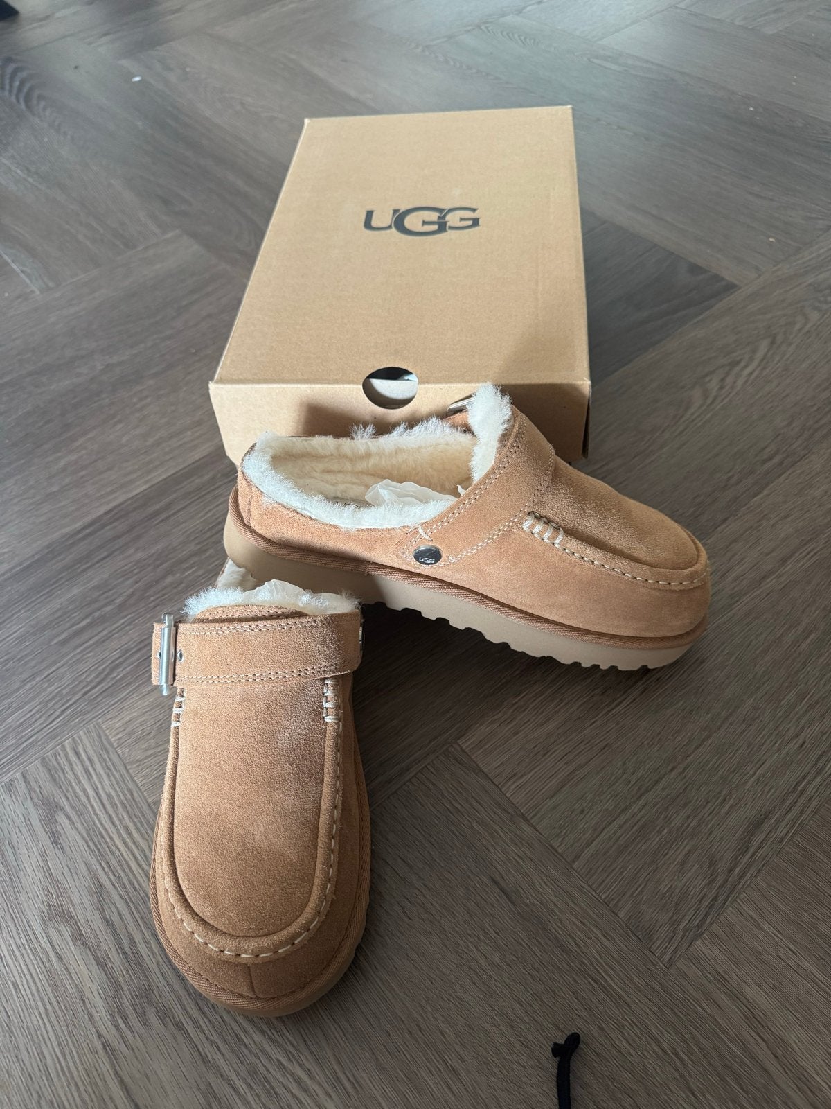 UGG Evelina Clogs Chestnut - Maat 38, Ophalen of Verzenden, Nieuw, Bruin, Pantoffels of Sloffen