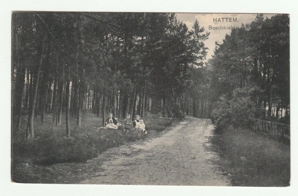 Hattem - Boschkiekje, Verzenden, 1920 tot 1940, Ongelopen, Gelderland