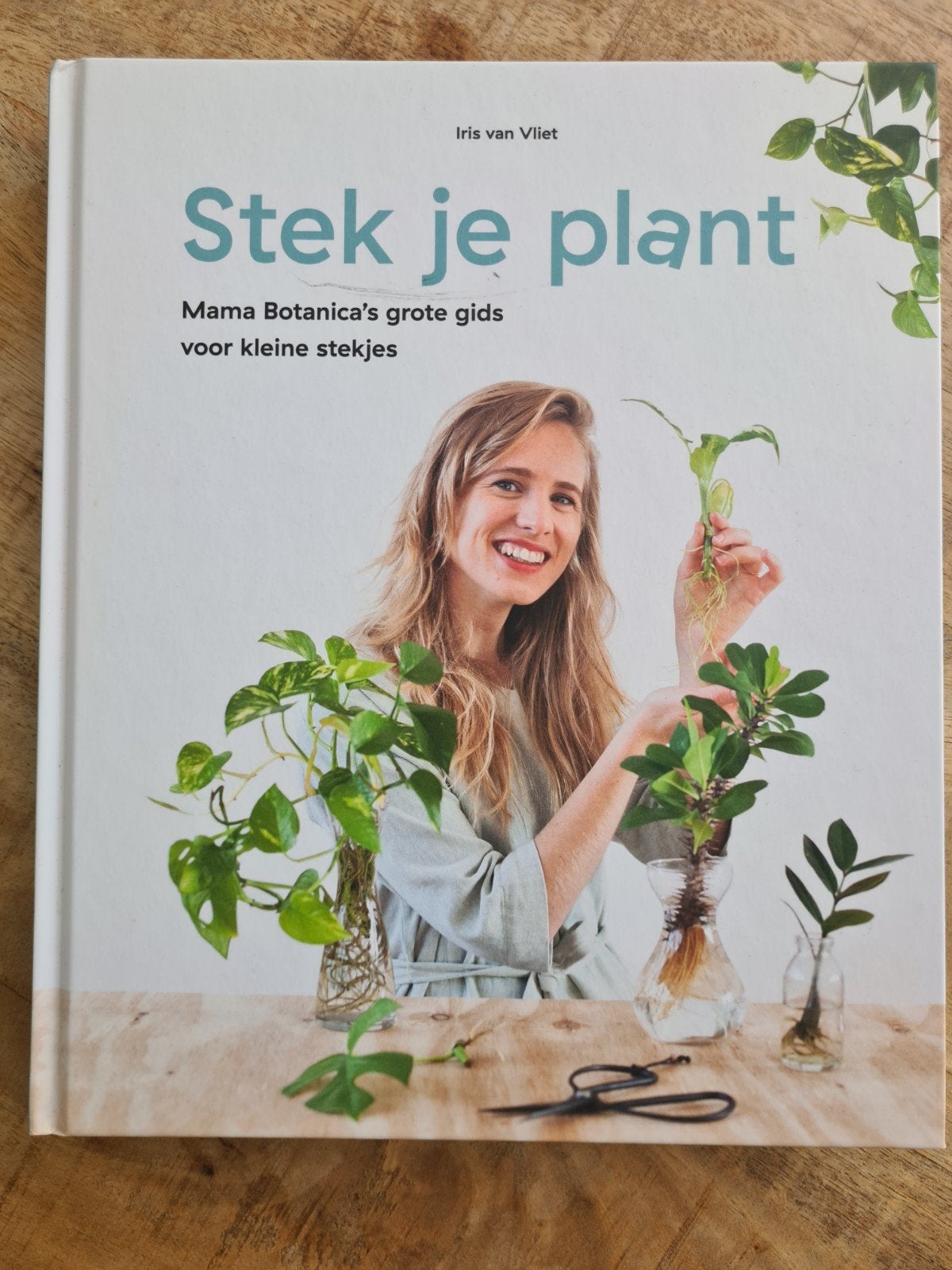 Stek je plant, Mama Botanica's grote gids voor kleine stekje, Ophalen of Verzenden, Zo goed als nieuw, Iris van Vliet, Kamerplanten
