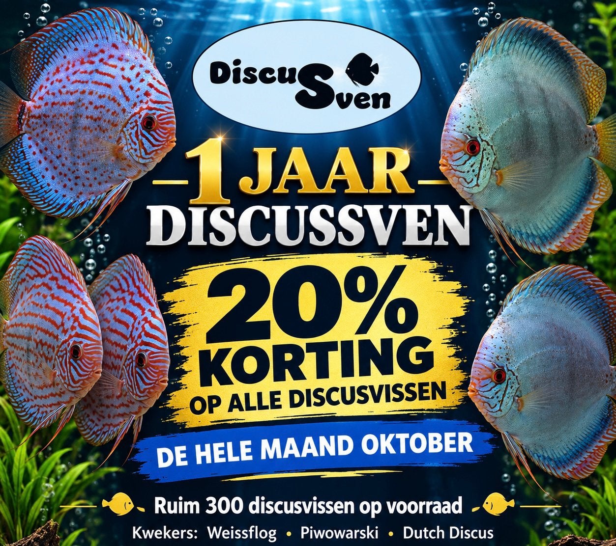 1 jaar discussven alle discusvissen 20% korting, Dieren en Toebehoren, Vis, Zoetwatervis, Schoolvis