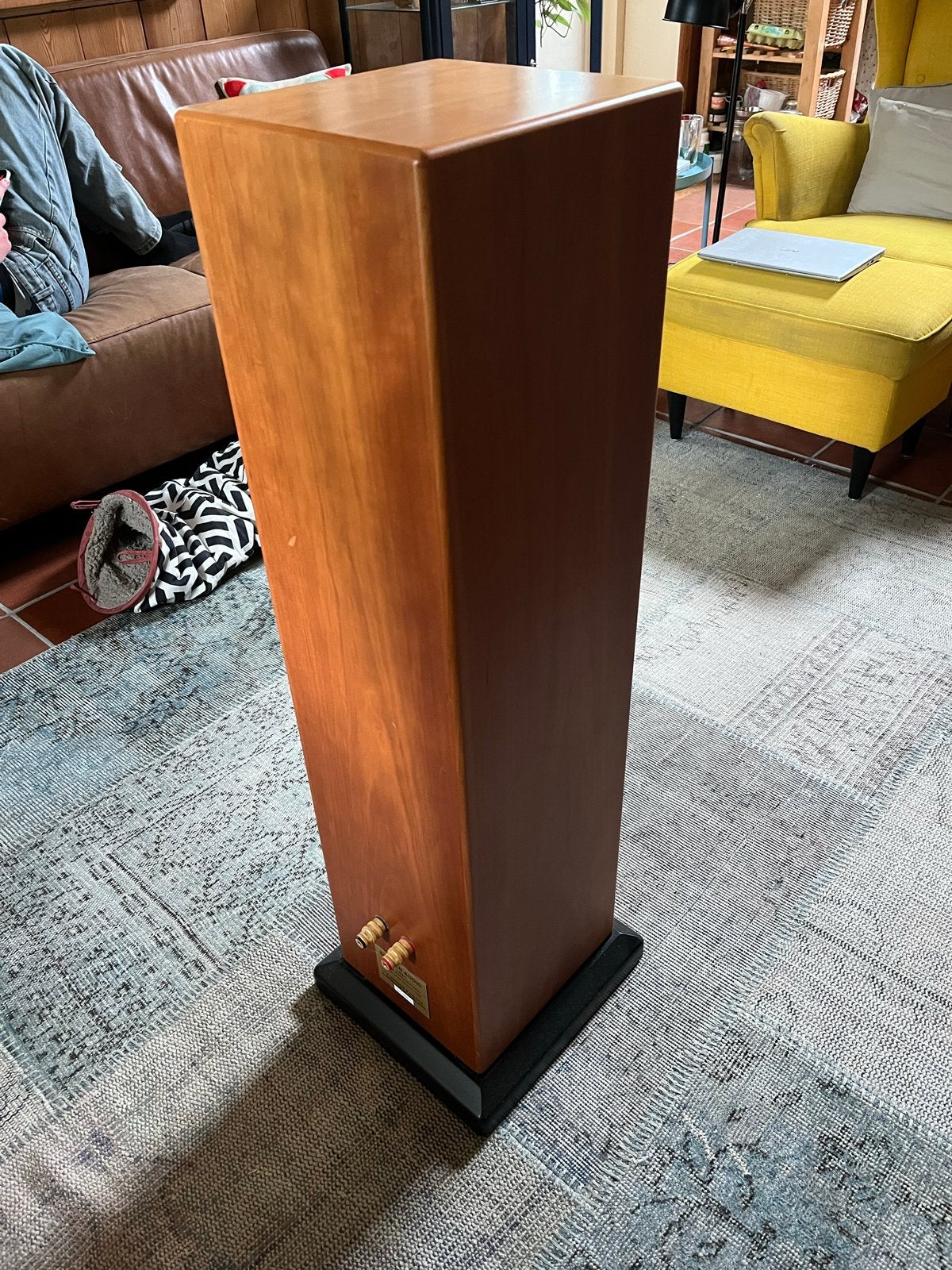 Sugden Audio LS21 Vloerstaande Luidsprekers, Ophalen, Zo goed als nieuw, 60 tot 120 watt, Overige merken