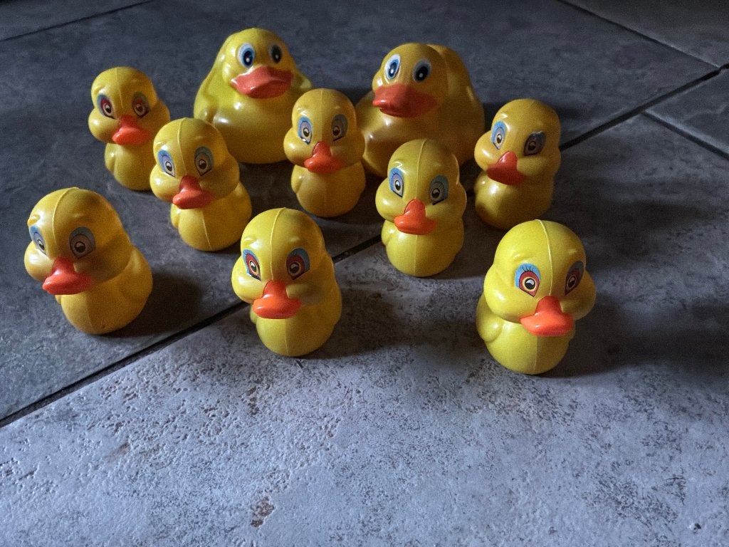 Bad eendjes, Ophalen, Zo goed als nieuw, Badeend
