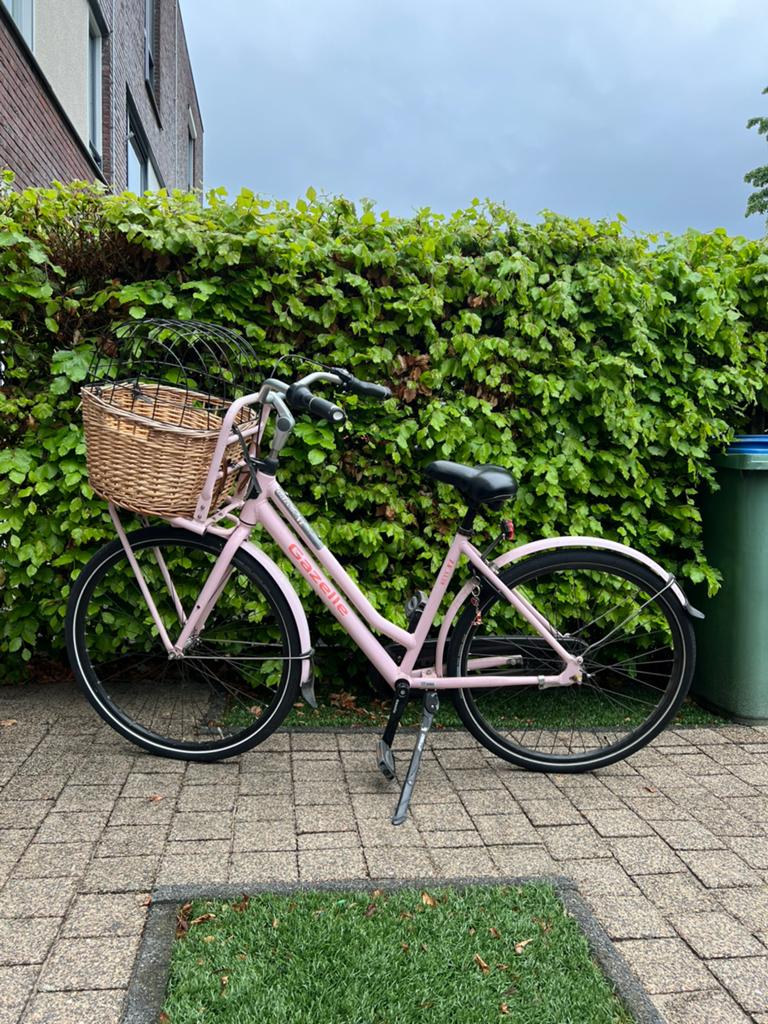 Roze Gazelle Stadsfiets met mand, Fietsen en Brommers, Fietsen | Dames | Damesfietsen, Ophalen, Zo goed als nieuw, Gazelle