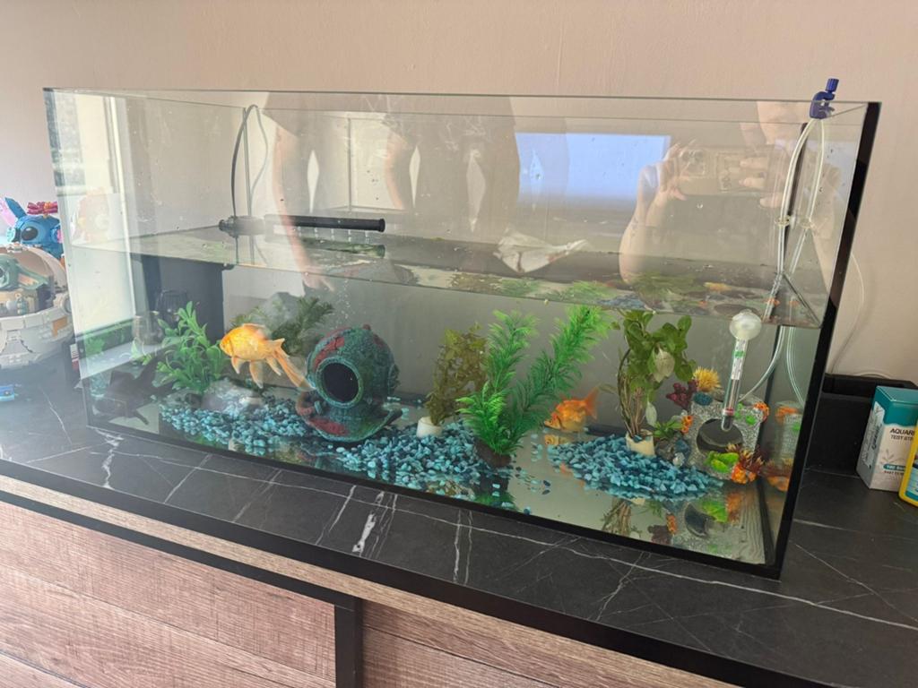 Marina aquarium, Dieren en Toebehoren, Ophalen, Leeg aquarium