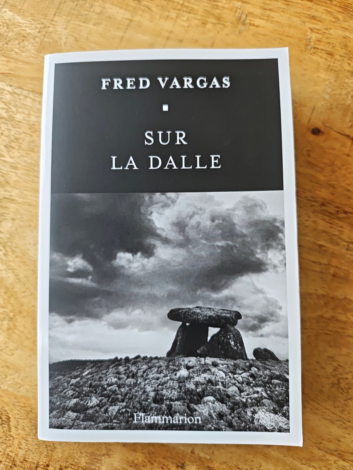 Fred Vargas - Sur la Dalle (Frans), Frans, Ophalen of Verzenden, Zo goed als nieuw, Fictie