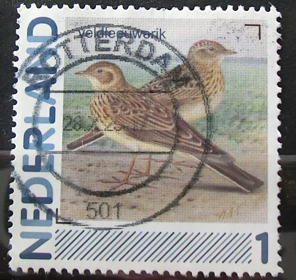 persoonlijke postzegel, Vogels, gest (lees aub), Ophalen of Verzenden, Na 1940, Gestempeld