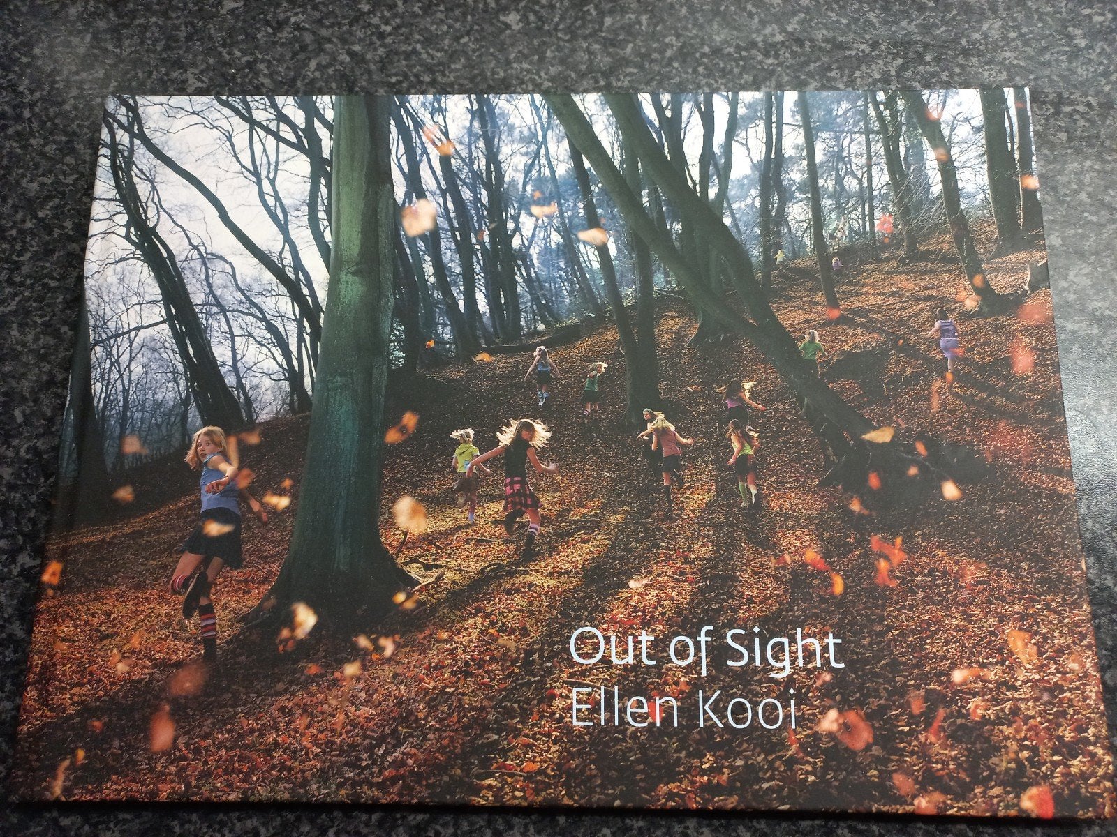 Out of Sight - Ellen Kooi (Fotoboek), Ophalen of Verzenden, Zo goed als nieuw, Fotografie algemeen, Ellen Kooi