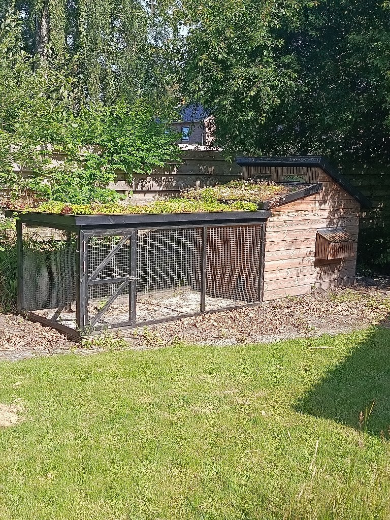 Kippenren, nachthok met sedum-dak, Ophalen, Gebruikt, Hout, Overige typen