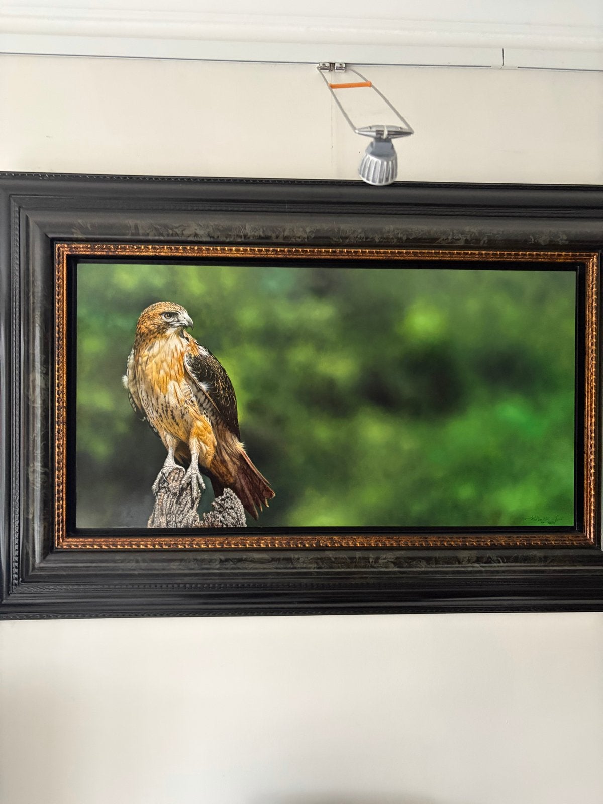 Schilderij buizerd, Ophalen