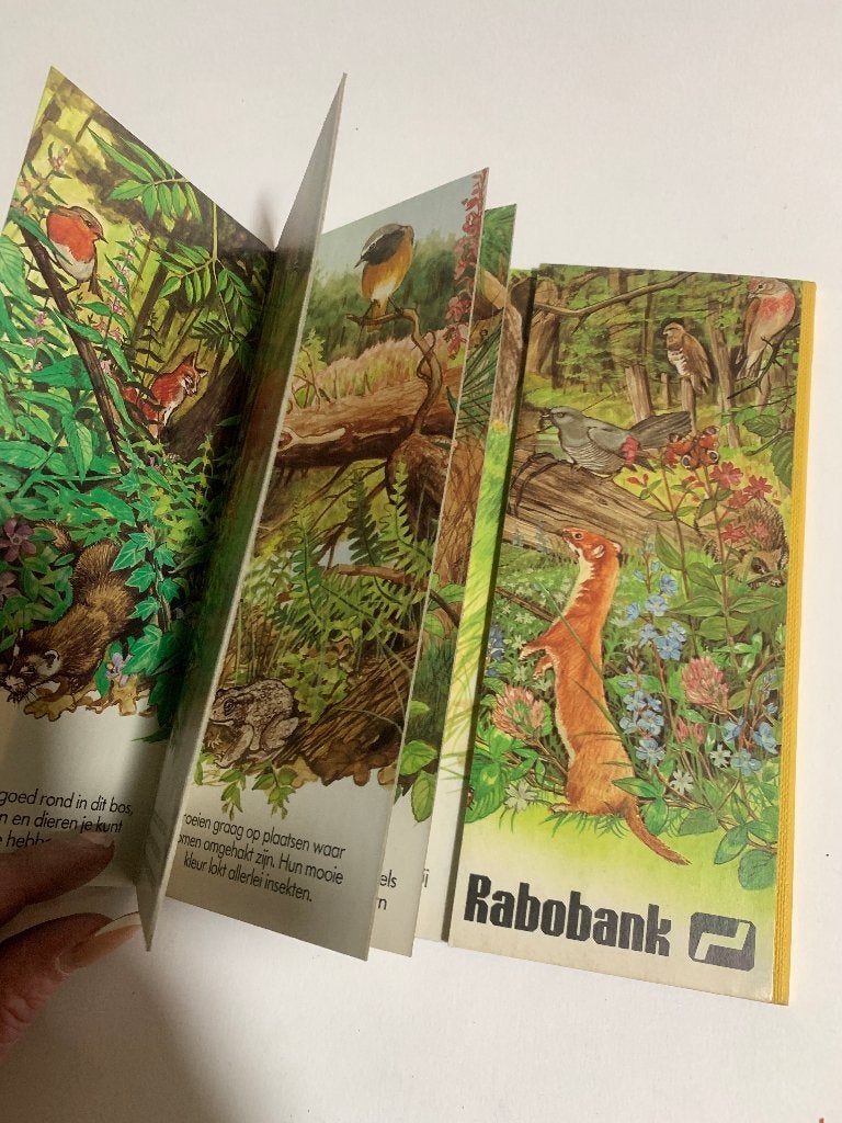 Vintage Kartonboekje Bladeren in het bos - Rabobank uitgave, Boeken, Natuur, Ophalen of Verzenden, Zo goed als nieuw, Natuur algemeen