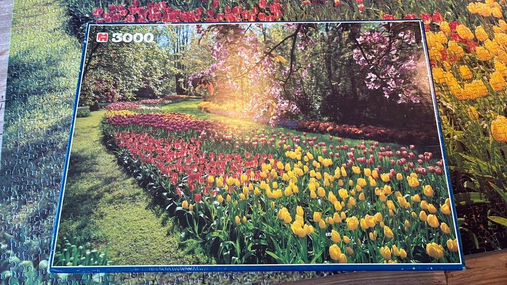 Puzzle 3000 stukjes, Ophalen of Verzenden, Meer dan 1500 stukjes, Gebruikt, Legpuzzel