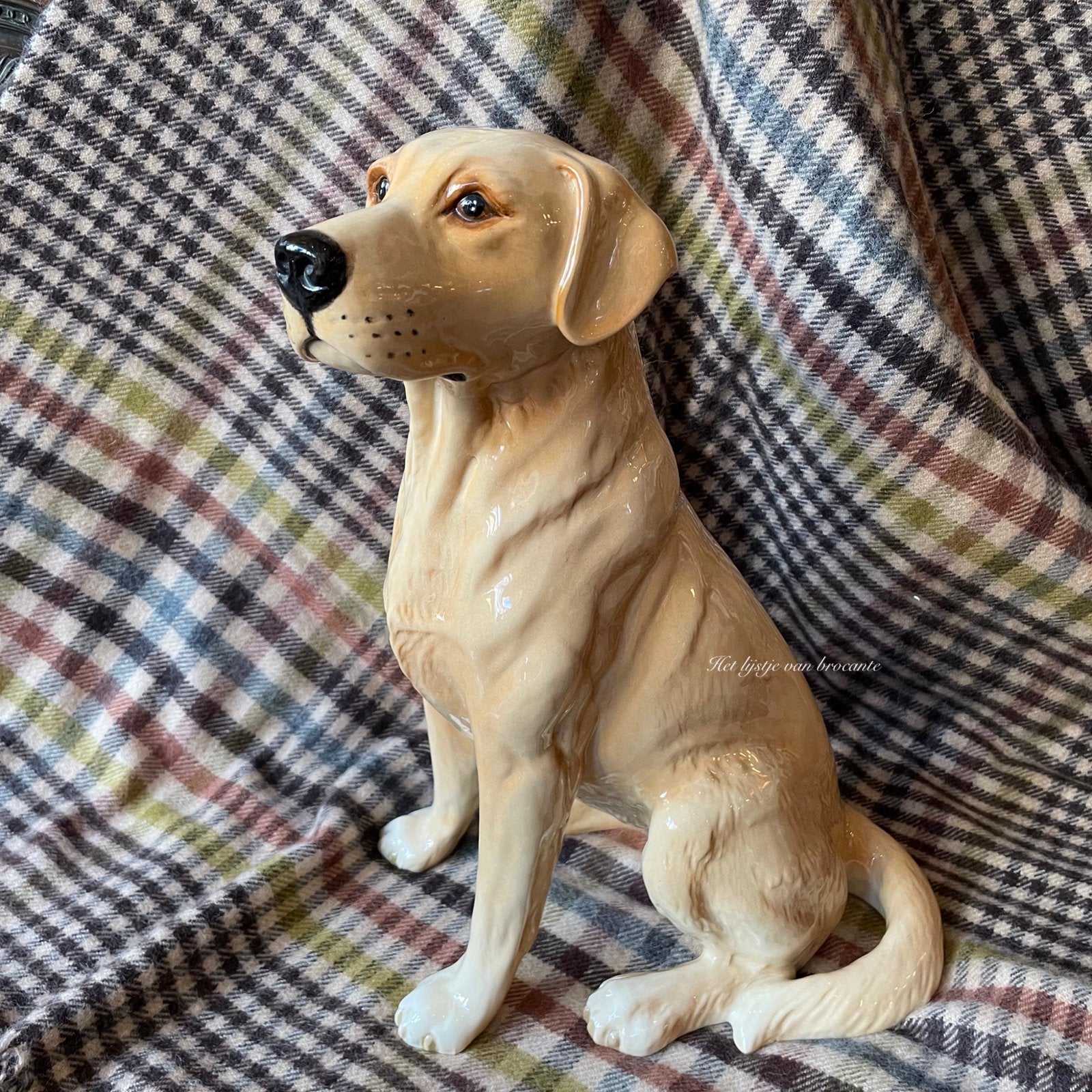 Engelse Beswick Golden Retriever/ Labrador, Ophalen of Verzenden