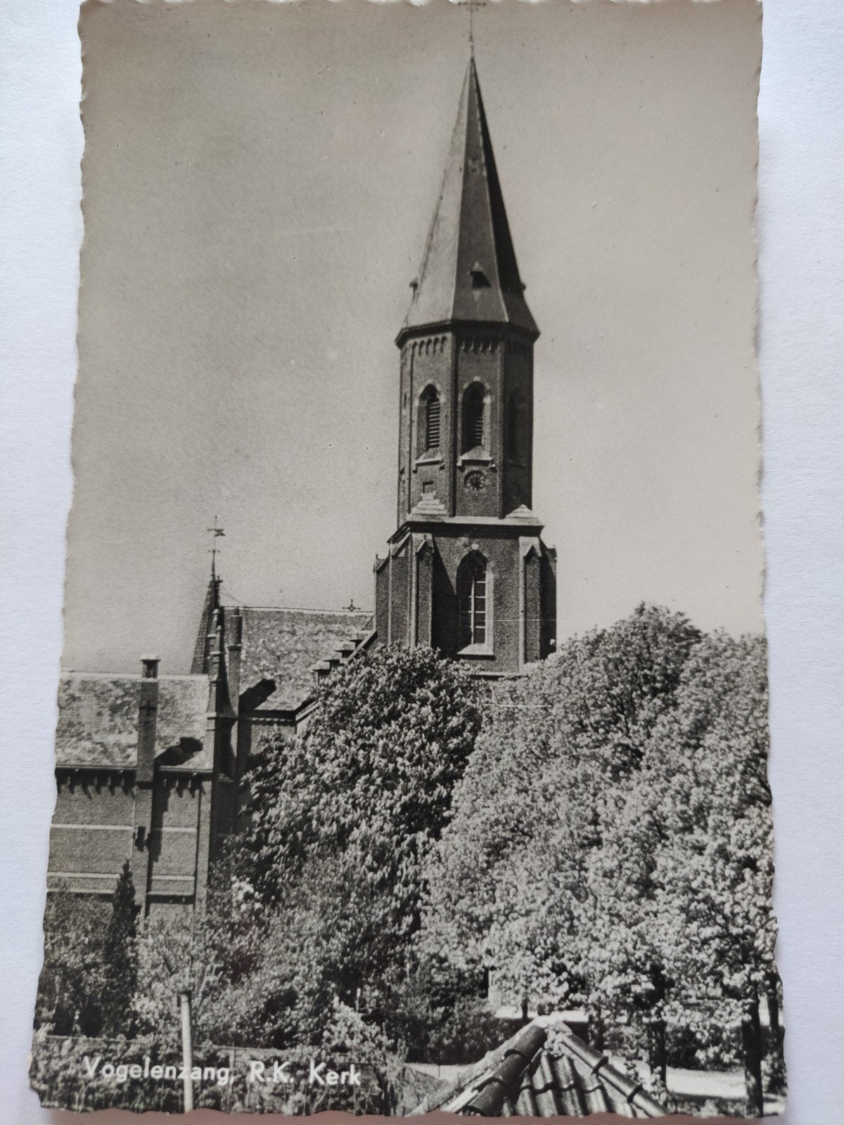 c1950 vogelenzang, Ophalen of Verzenden, 1920 tot 1940