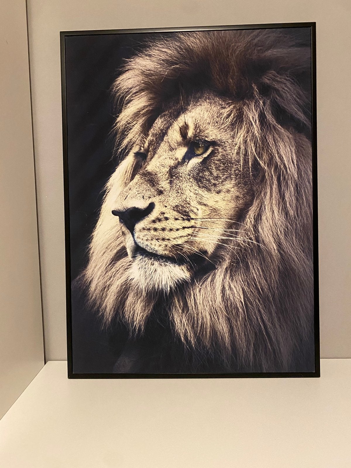 Schilderij leeuw op canvas doek || in goede staat!, 50 – 75, Ophalen of Verzenden, Zo goed als nieuw, Schilderij