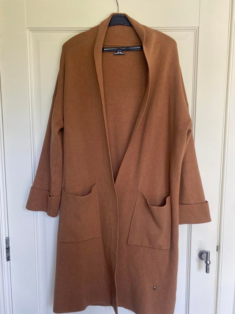 Bruin vest, Kleding | Dames, Truien en Vesten, Ophalen of Verzenden, Zo goed als nieuw, Bruin