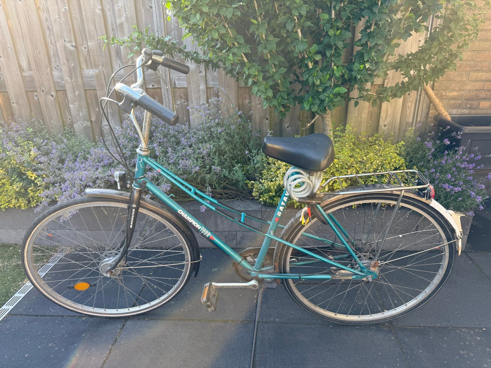 Batavus Champion Damesfiets - Gebruikt, Ophalen, Gebruikt, Velgrem, Batavus