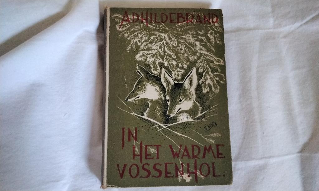 Vintage Oud boek A.D. Hildebrand originele eerste druk, Antiek en Kunst, Antiek | Boeken en Bijbels, Ophalen, A.D. Hildebrand