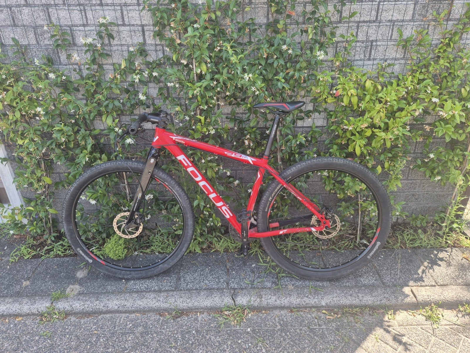 Focus Whistler Mountainbike M - met vaste Carbon Voorv, Ophalen, Overige merken