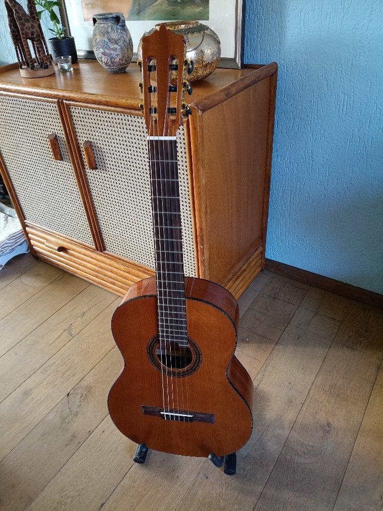 Klassieke gitaar Martinez MCG-40C, Ophalen, Zo goed als nieuw, Klassieke of Spaanse gitaar, Met koffer