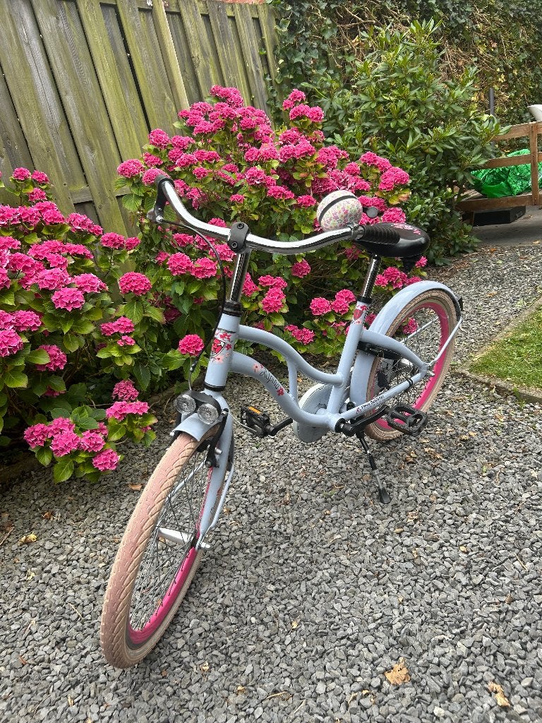 Meisjesfiets 20 inch Alpina, Fietsen en Brommers, Fietsen | Meisjes, Ophalen, Terugtraprem, Gebruikt, Alpina