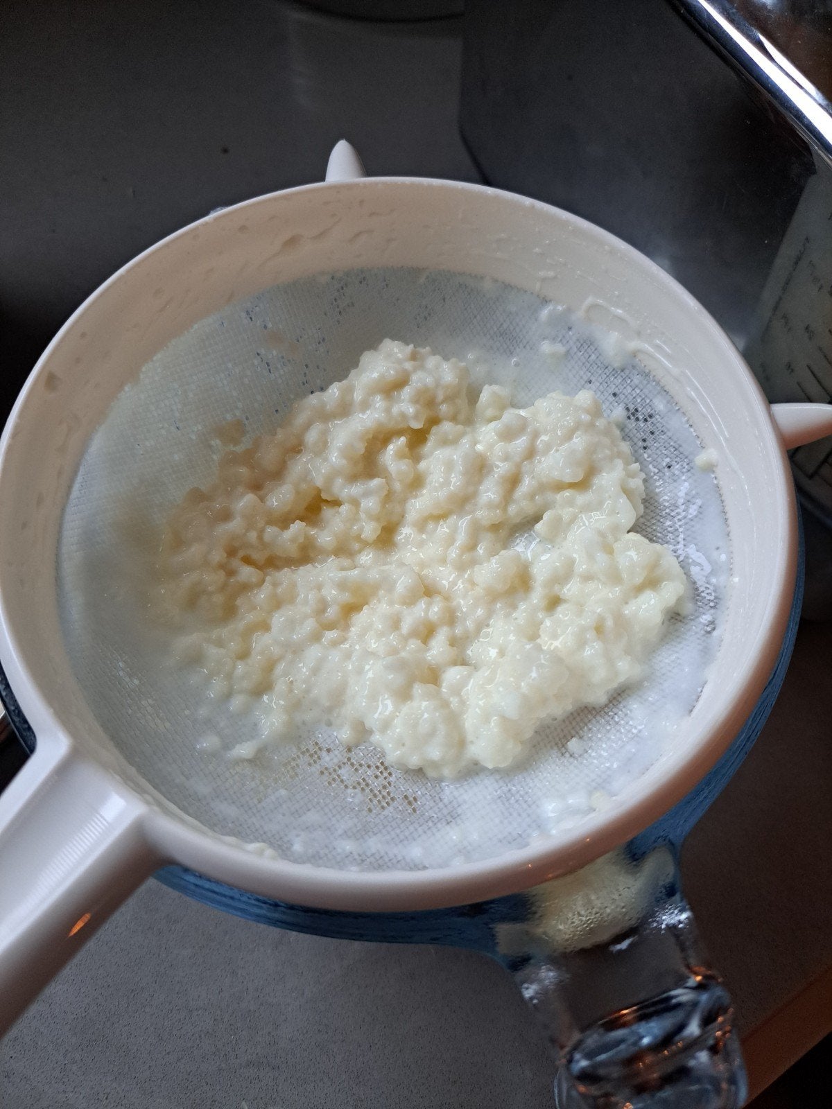 Zeer actieve kefirgranen melk kefir, Ophalen of Verzenden